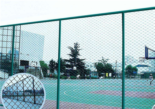 学校球场围栏网